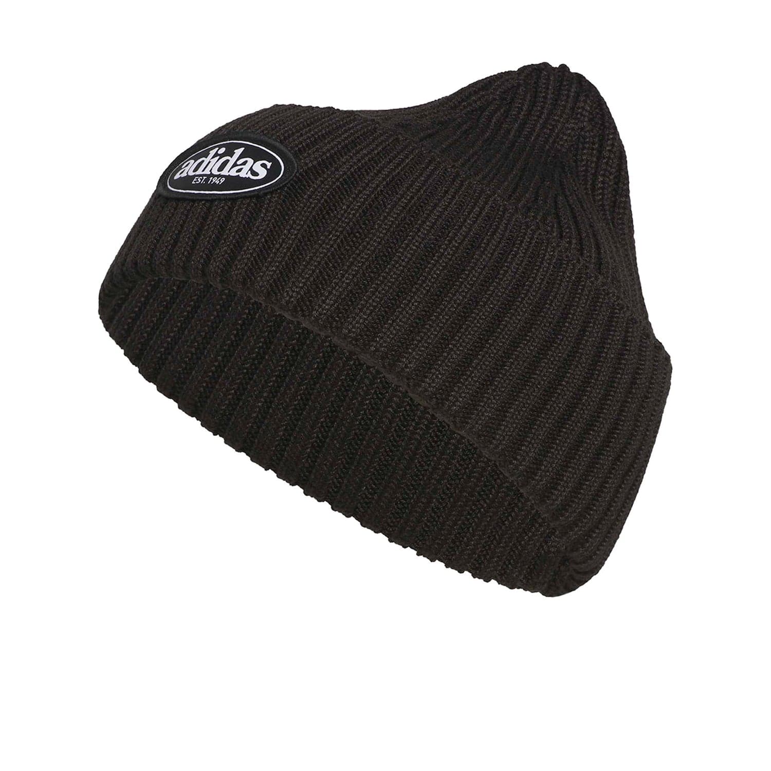 Men's Roam Beanie